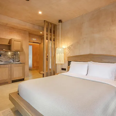 Salud إيريسوس