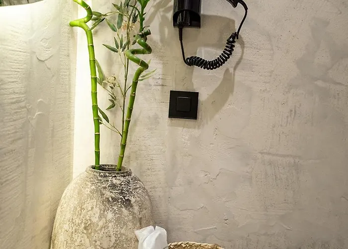 公寓式酒店 Salud