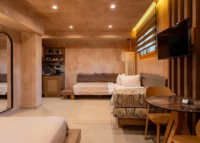 Salud 4* 伊里斯斯