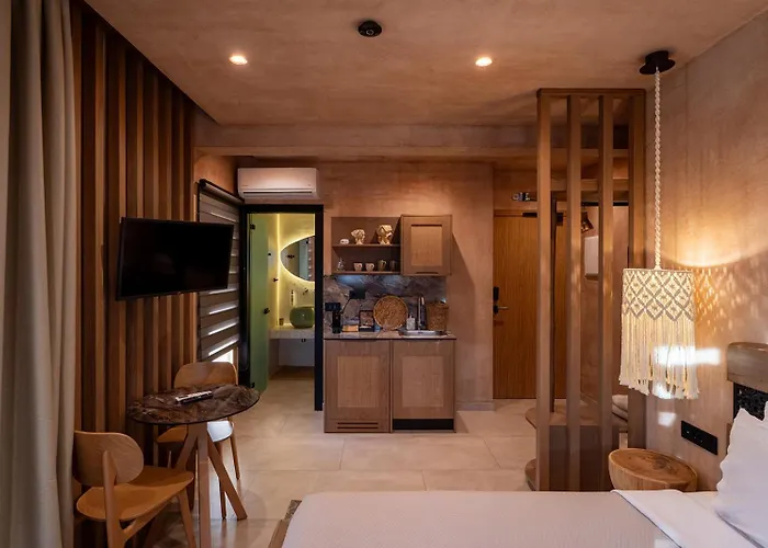 公寓式酒店 Salud 伊里斯斯