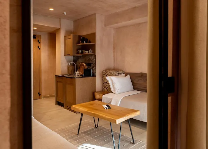 Salud 公寓式酒店 4*