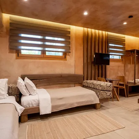 Apartahotel Salud 4*